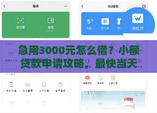 急用3000元怎么借？小额贷款申请攻略，最快当天到账！