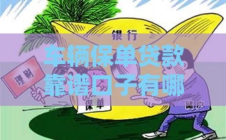车辆保单贷款靠谱口子有哪些？手把手教你避坑选方案