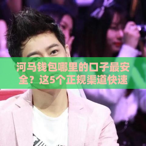 河马钱包哪里的口子最安全？这5个正规渠道快速到账！