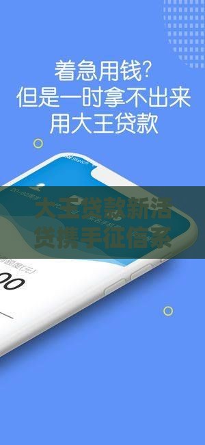 大王贷款新活贷携手征信系统！征信花也能申请？贷款流程全解析