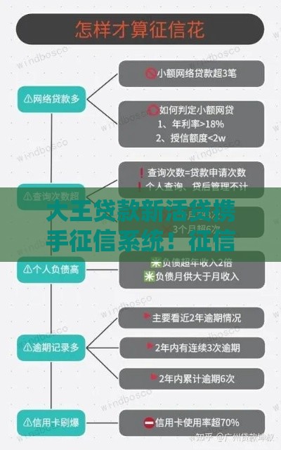 大王贷款新活贷携手征信系统！征信花也能申请？贷款流程全解析