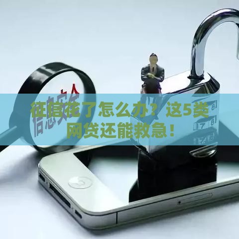 征信花了怎么办？这5类网贷还能救急！