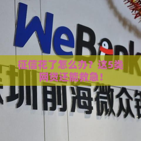 征信花了怎么办？这5类网贷还能救急！