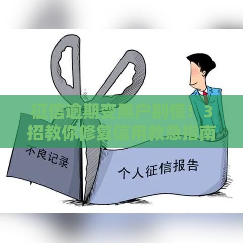 征信逾期变黑户别慌！3招教你修复信用救急指南