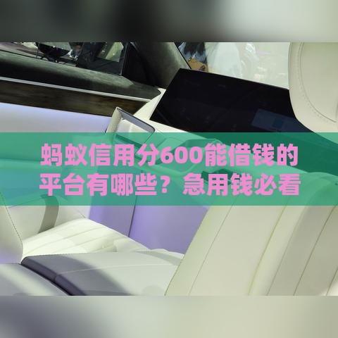 蚂蚁信用分600能借钱的平台有哪些？急用钱必看这5家快速审批渠道