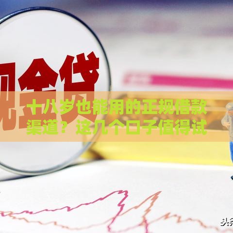 十八岁也能用的正规借款渠道？这几个口子值得试试