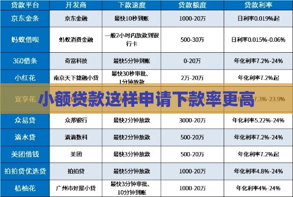 小额贷款这样申请下款率更高