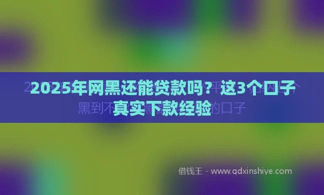 2025年网黑还能贷款吗？这3个口子真实下款经验