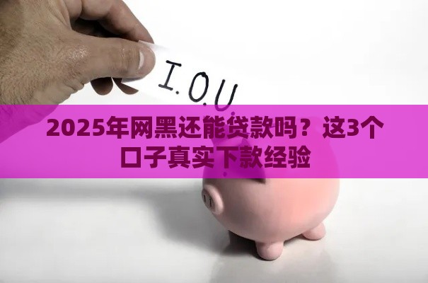 2025年网黑还能贷款吗？这3个口子真实下款经验
