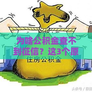 为啥公积金查不到征信？这3个原因可能被你忽略了