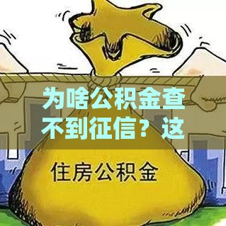 为啥公积金查不到征信？这3个原因可能被你忽略了