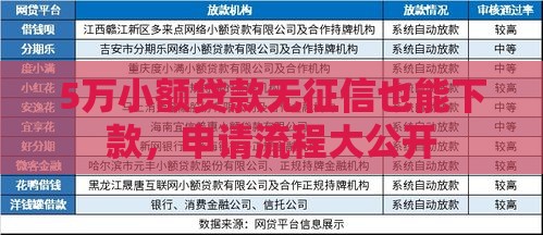 5万小额贷款无征信也能下款，申请流程大公开