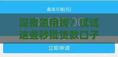 深夜急用钱？试试这些秒批贷款口子，快速到账还靠谱！