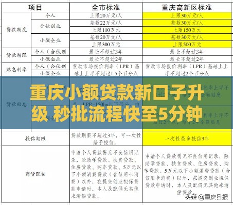 重庆小额贷款新口子升级 秒批流程快至5分钟到账