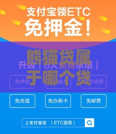 熊猫贷属于哪个贷款系列？这些申请细节必须掌握