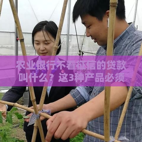 农业银行不看征信的贷款叫什么？这3种产品必须知道！