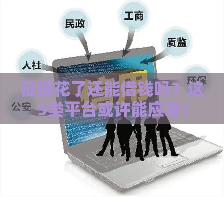 征信花了还能借钱吗？这5类平台或许能应急！