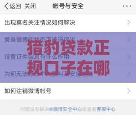 猎豹贷款正规口子在哪？手把手教你安全申请