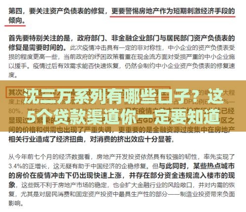 沈三万系列有哪些口子？这5个贷款渠道你一定要知道！
