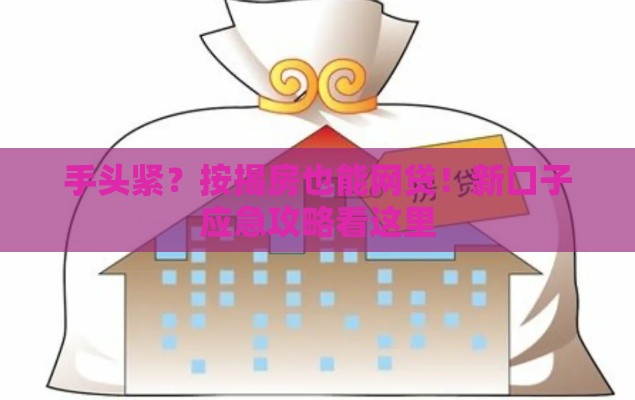 手头紧？按揭房也能网贷！新口子应急攻略看这里
