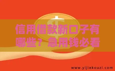 信用借款新口子有哪些？急用钱必看这5个靠谱平台！
