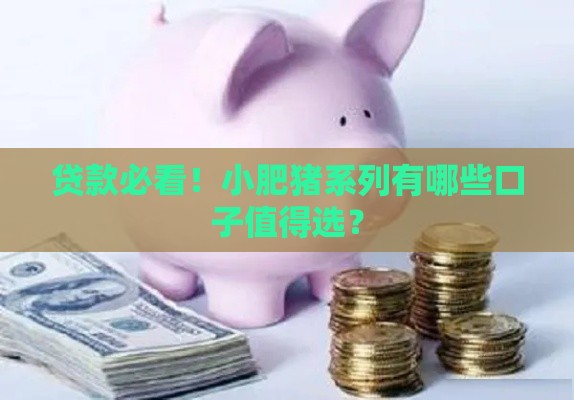 贷款必看！小肥猪系列有哪些口子值得选？