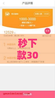 秒下款3000的口子推荐 快速到账方法解析