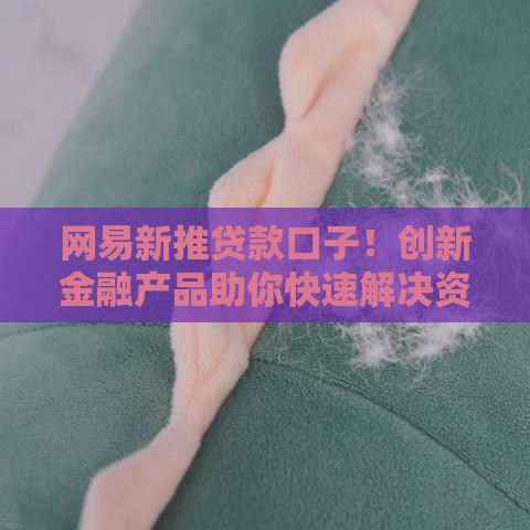 网易新推贷款口子！创新金融产品助你快速解决资金难题