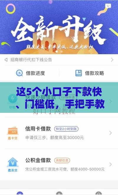 这5个小口子下款快、门槛低，手把手教你申请