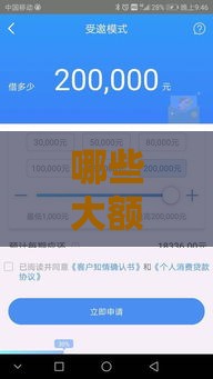 哪些大额贷款不看征信？这些口子额度高、审批快！