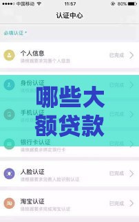 哪些大额贷款不看征信？这些口子额度高、审批快！