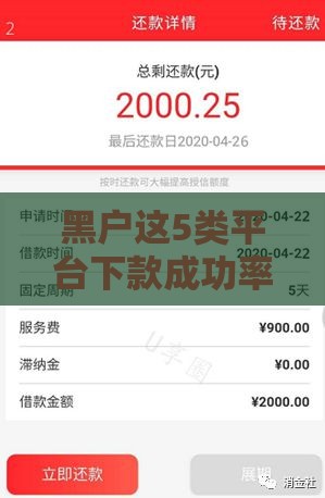 黑户这5类平台下款成功率更高