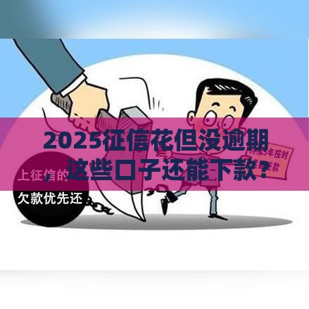 2025征信花但没逾期，这些口子还能下款？实测推荐！