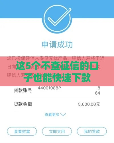 这5个不查征信的口子也能快速下款