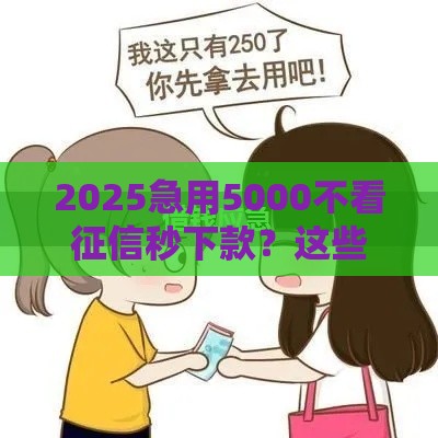 2025急用5000不看征信秒下款？这些窍门助你安全借钱