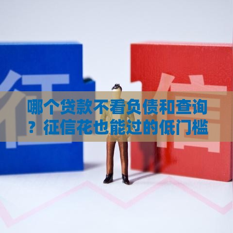 哪个贷款不看负债和查询？征信花也能过的低门槛贷款推荐