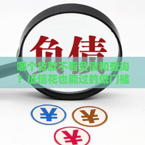 哪个贷款不看负债和查询？征信花也能过的低门槛贷款推荐