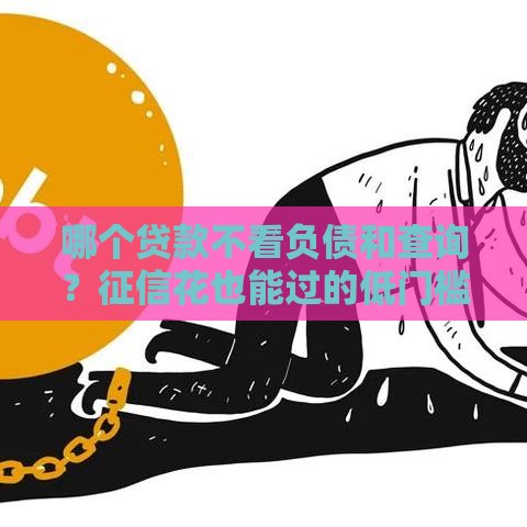 哪个贷款不看负债和查询？征信花也能过的低门槛贷款推荐