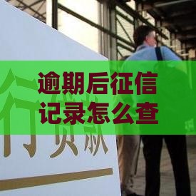 逾期后征信记录怎么查？手把手教你快速自查方法