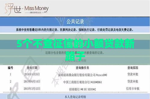 5个不查征信的小额贷款新路子