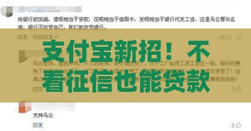 支付宝新招！不看征信也能贷款，这些隐藏功能你试过没？