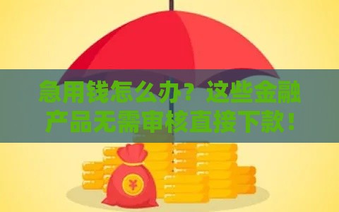 急用钱怎么办？这些金融产品无需审核直接下款！