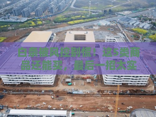 白条被风控别慌！这5类商品还能买，最后一招太实用了