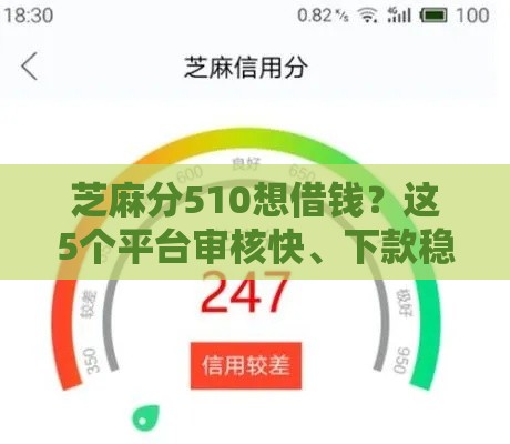 芝麻分510想借钱？这5个平台审核快、下款稳！