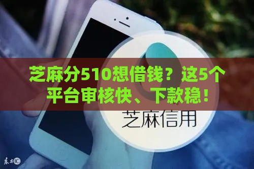 芝麻分510想借钱？这5个平台审核快、下款稳！