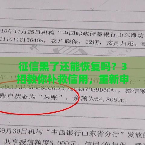 征信黑了还能恢复吗？3招教你补救信用，重新申请贷款有希望！