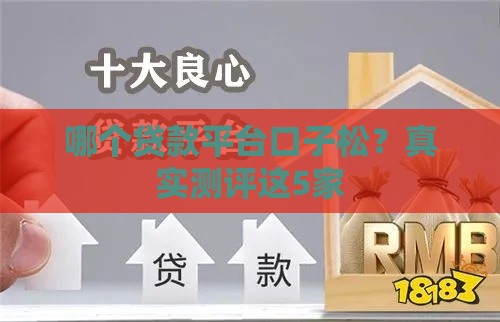 哪个贷款平台口子松？真实测评这5家