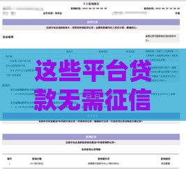 这些平台贷款无需征信也能快速到账