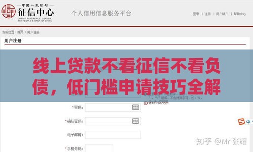 线上贷款不看征信不看负债，低门槛申请技巧全解析