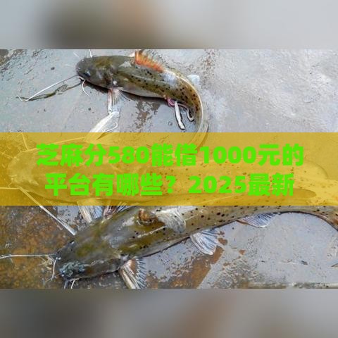 芝麻分580能借1000元的平台有哪些？2025最新低门槛推荐